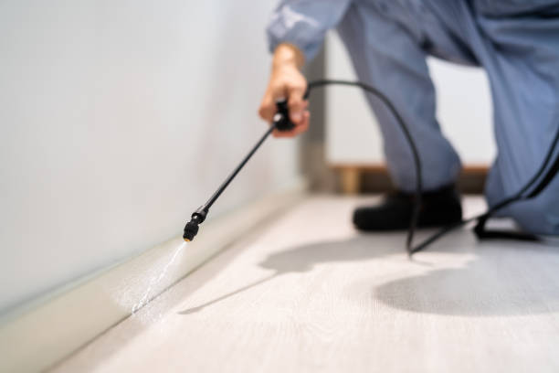 Licensed Cockroach Control service in Logan, WV - Nex Pest Control