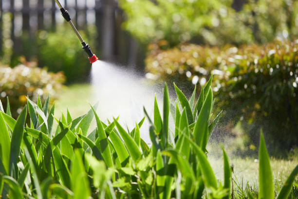 24/7 Emergency Cockroach Control experts in Logan, WV