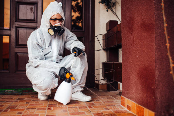 Reliable Cockroach Control contractor in Logan, WV by Nex Pest Control